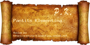 Pantits Klementina névjegykártya